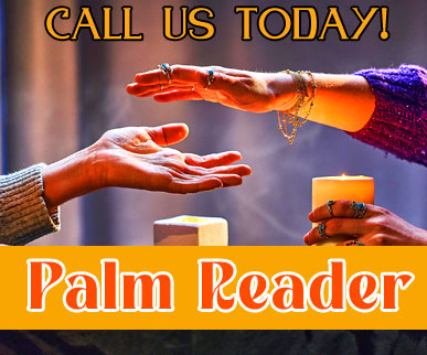 Palm Readre